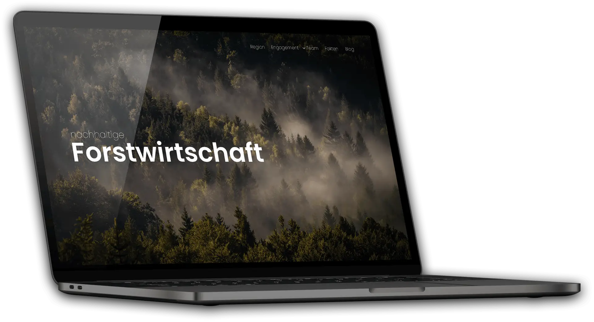 Professionelle Websitevorschau - Symbolbild für die Leistung Webdesign